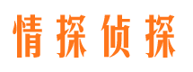 八公山情探私家侦探公司